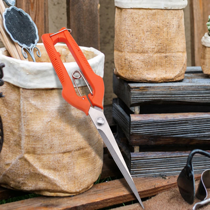 Tesoura de poda de uva, ferram - Furniture Joining Hardware avaliação e preço
