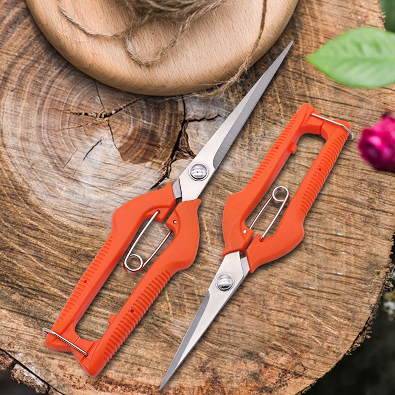 Tesoura de poda de uva, ferram - Furniture Joining Hardware avaliação e preço